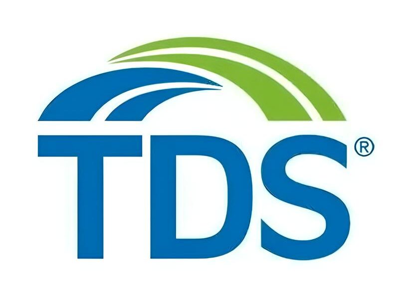 Construindo o Futuro Como a TDS Company Transforma Gestores de Projetos em L deres do Amanh