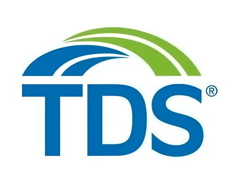 Construindo o Futuro Como a TDS Company Transforma Gestores de Projetos em L deres do Amanh