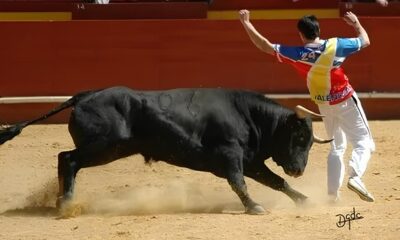 Corrida Desbrava Centauro Como um Evento Esportivo Est Redefinindo o Tr nsito e a Comunidade em Campinas