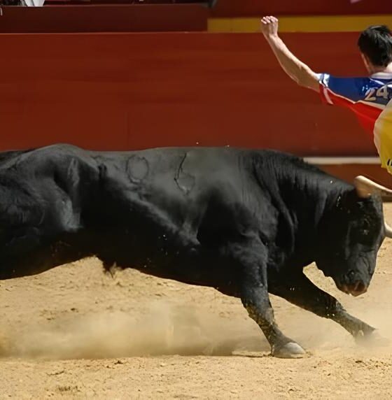 Corrida Desbrava Centauro Como um Evento Esportivo Est Redefinindo o Tr nsito e a Comunidade em Campinas