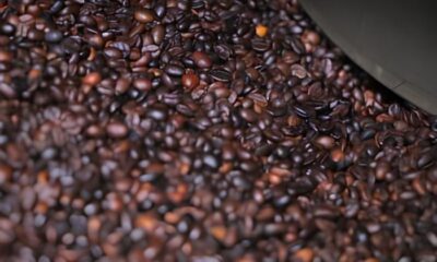 Descubra o Sabor e a Hist ria de Campinas Uma Viagem Inesquec vel ao Cora o do Caf Canec o
