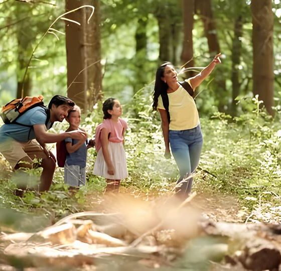 Eco F rias 2025 Onde Divers o e Sustentabilidade Encontram se no Cora o de Campinas
