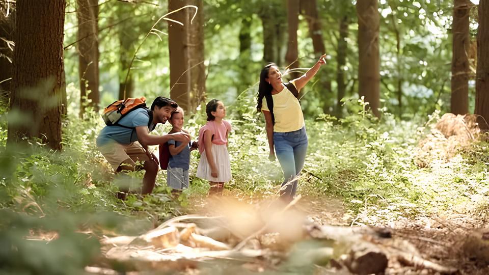 Eco F rias 2025 Onde Divers o e Sustentabilidade Encontram se no Cora o de Campinas