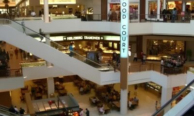 Encontro de Goldens O Dia em que C es Tomaram o Shopping de Campinas