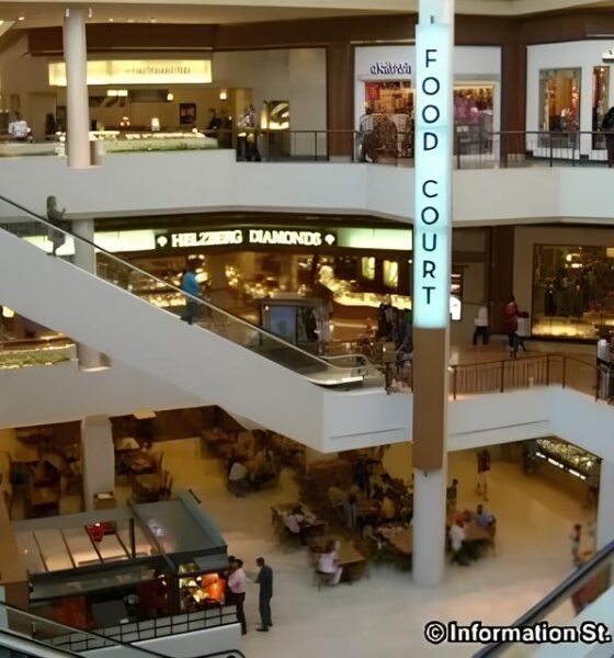 Encontro de Goldens O Dia em que C es Tomaram o Shopping de Campinas