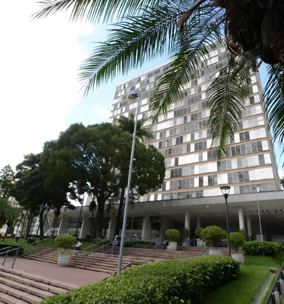 Estágio em Campinas: 395 Vagas Abertas para Transformar o Futuro Profissional de Jovens Talentos 9 Est gio em Campinas 395 Vagas Abertas para Transformar o Futuro Profissional de Jovens Talentos