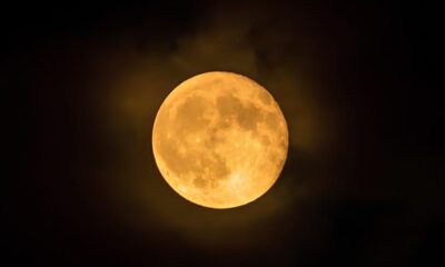 Lua do Veado o espet culo celestial que ilumina Campinas e Regi o nesta noite m gica de julho