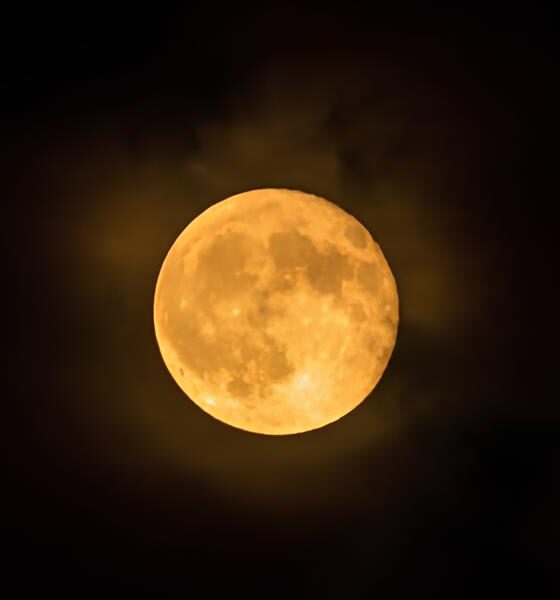 Lua do Veado o espet culo celestial que ilumina Campinas e Regi o nesta noite m gica de julho