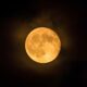 Lua do Veado o espet culo celestial que ilumina Campinas e Regi o nesta noite m gica de julho