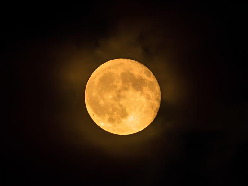Lua do Veado o espet culo celestial que ilumina Campinas e Regi o nesta noite m gica de julho