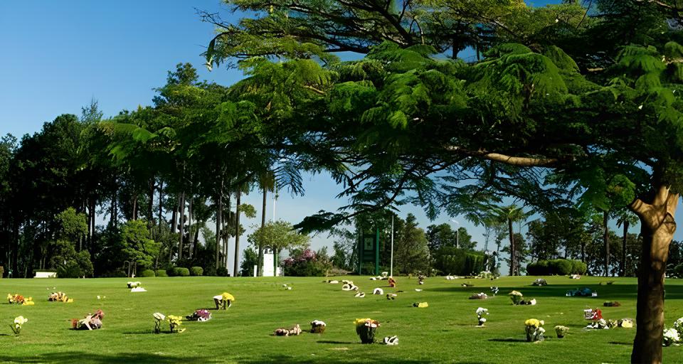 Luto e Mem ria O Impacto dos Falecimentos em Limeira Piracicaba Campinas e Regi o no Cora o do Brasil