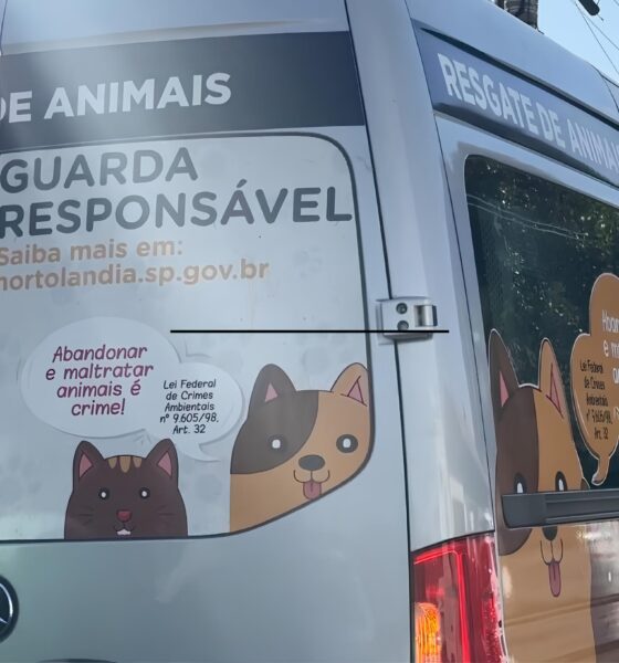 Menina de 2 Anos Sobrevive a Ataque Brutal de Pit Bull em Hortolândia: O Que Aconteceu Depois Vai Te Deixar Sem Palavras 13 Menina de 2 Anos Sobrevive a Ataque Brutal de Pit Bull em Hortol ndia O Que Aconteceu Depois Vai Te Deixar Sem Palavras