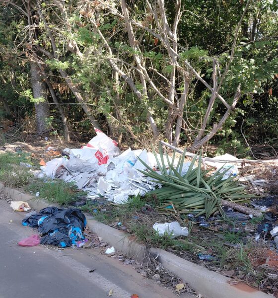 O Crime Silencioso Como o Descarte Irregular de Res duos em Hortol ndia Est Consumindo Nosso Futuro
