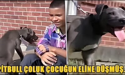 O Dia em Que o Inimagin vel Aconteceu Uma Trag dia com Reflexos na Sociedade e no Cora o dos Brasileiros