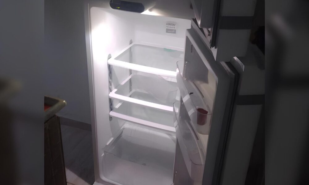 O Dia em que o Sil ncio de uma Geladeira Revelou um Crime Inomin vel