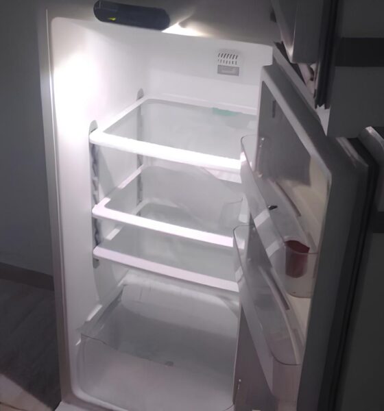 O Dia em que o Silêncio de uma Geladeira Revelou um Crime Inominável 9 O Dia em que o Sil ncio de uma Geladeira Revelou um Crime Inomin vel