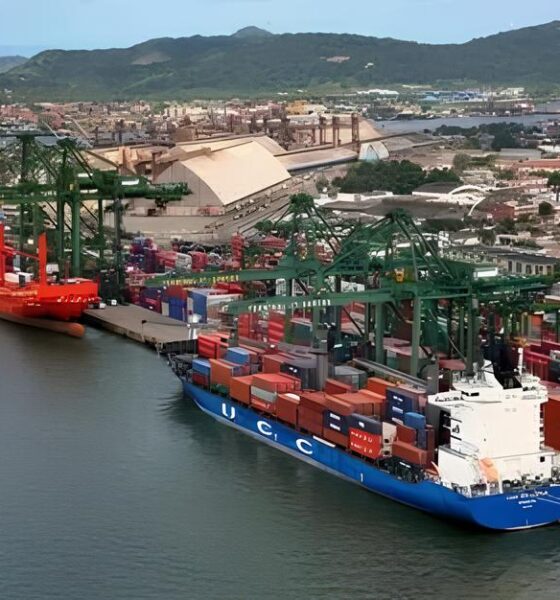 O Futuro Est no Porto Como S o Vicente Surge como Novo Polo de Oportunidades no Setor Portu rio