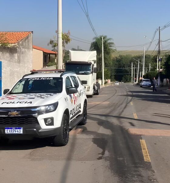 O Incidente que Abalou Hortol ndia Quando um Pit Bull Rompeu a Linha de Seguran a Entre Homem e Animal