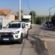 O Incidente que Abalou Hortol ndia Quando um Pit Bull Rompeu a Linha de Seguran a Entre Homem e Animal