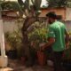 O Mosquito Que Pode Entrar em Sua Casa Por Que Permitir que Agentes de Hortol ndia Fa am a Diferen a