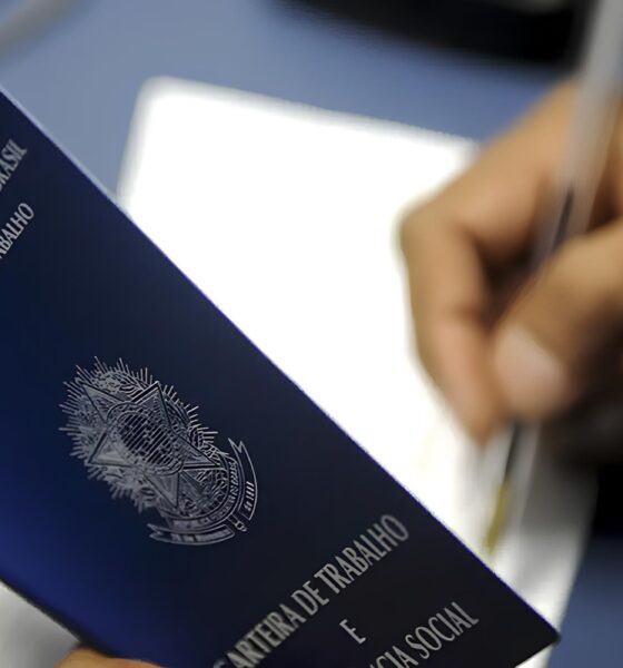 O Que Há Por Trás do Fenômeno dos 50+ no Mercado de Trabalho de Campinas? 9 O Que H Por Tr s do Fen meno dos 50 no Mercado de Trabalho de Campinas