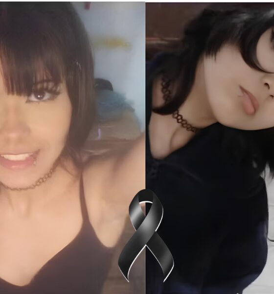 O Vínculo Sombrio: O Caso de Nicolly e o Suspeito que Abalou São Paulo 13 O V nculo Sombrio O Caso de Nicolly e o Suspeito que Abalou S o Paulo