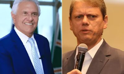 Quando o Guardi o se Torna o Predador A Trag dia de Hortol ndia que Chocou o Brasil