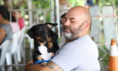 S o Jos dos Campos Oferece Mil Vagas para Castra o Gratuita de Pets Um Passo Rumo ao Controle Populacional e Bem Estar Animal
