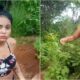 Um Caso que Abalou o Brasil A A o Policial Interestadual que Desvendou um Crime Brutal Contra uma Adolescente de 15 Anos
