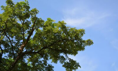 Um Dia em Hortol ndia Como o Sol e as Nuvens Moldam a Rotina de uma Cidade em Transforma o