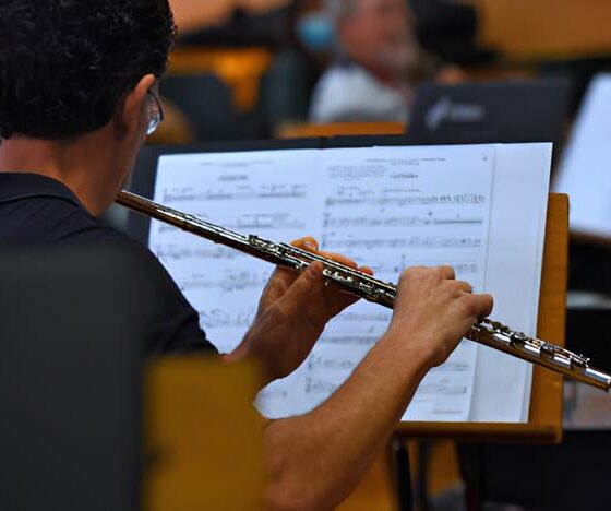 Uma Noite de Música, Memória e Emoção: O Concerto Gratuito da Orquestra Sinfônica da Unicamp em Campinas 13 Uma Noite de M sica Mem ria e Emo o O Concerto Gratuito da Orquestra Sinf nica da Unicamp em Campinas