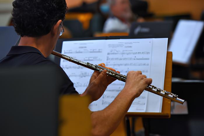 Uma Noite de Música, Memória e Emoção: O Concerto Gratuito da Orquestra Sinfônica da Unicamp em Campinas 12 Uma Noite de M sica Mem ria e Emo o O Concerto Gratuito da Orquestra Sinf nica da Unicamp em Campinas