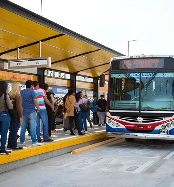 Última Chance para Estudantes de Itanhaém: Cadastro no Transporte Universitário Fecha em 14 de Agosto – O Que Você Precisa Saber 9 ltima Chance para Estudantes de Itanha m Cadastro no Transporte Universit rio Fecha em 14 de Agosto O Que Voc Precisa Saber
