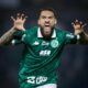 A Ascens o do Guarani Como Matheus Costa e a Torcida Est o Reescrevendo o Futuro do Bugre