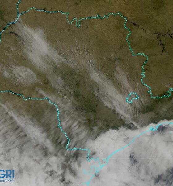 A Chuva Prometida Chegou Mas Ser Suficiente Para Salvar Campinas da Seca