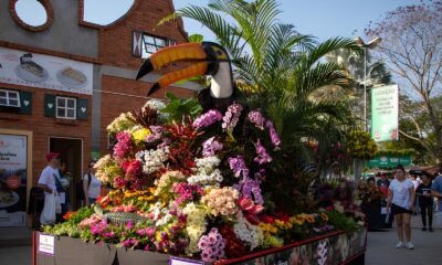 A Expoflora 2025 A Celebra o das Tulipas e da Arte Moderna que Vai Encantar os Seus Sentidos