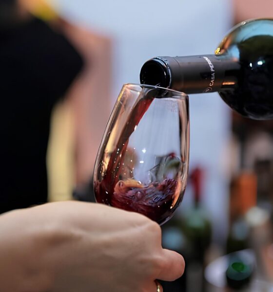 A Revolução do Vinho Brasileiro: 18 Vagas Abertas e a História de Um Setor em Expansão 9 A Revolu o do Vinho Brasileiro 18 Vagas Abertas e a Hist ria de Um Setor em Expans o