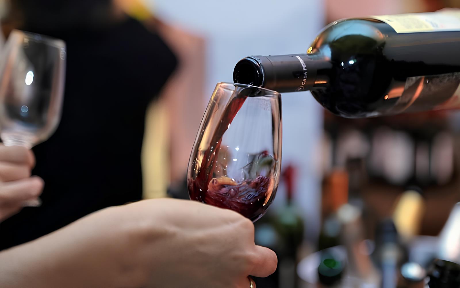 A Revolução do Vinho Brasileiro: 18 Vagas Abertas e a História de Um Setor em Expansão 8