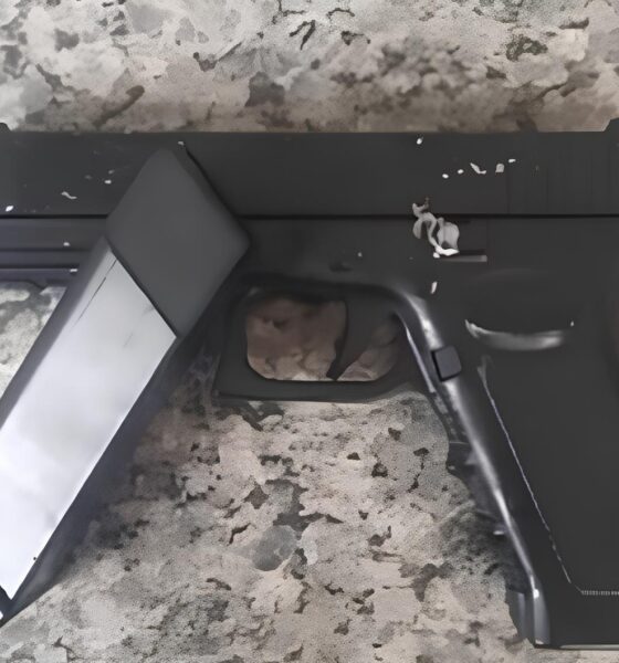 A Sombra do Medo: Como Uma Arma Falsa Revelou a Verdade Sobre Violência Doméstica no Interior Paulista 9 A Sombra do Medo Como Uma Arma Falsa Revelou a Verdade Sobre Viol ncia Dom stica no Interior Paulista