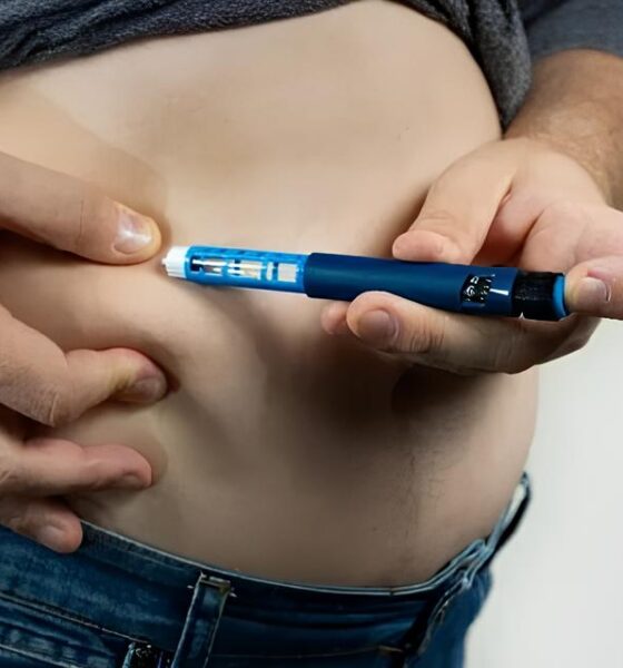 Canetas que Transformam Vidas Como o BNDES e a EMS Est o Redefinindo o Combate Obesidade e Diabetes no Brasil