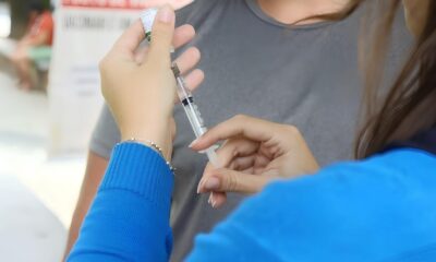 Caraguatatuba Contra a Febre Amarela Uma Ra a Consciente Um Futuro Protegido