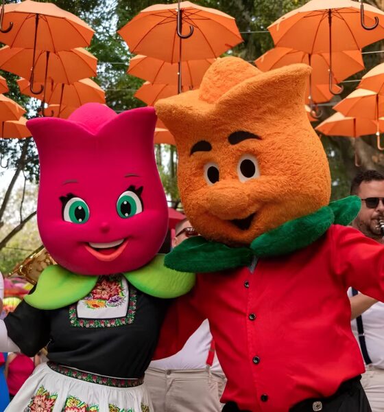 Chuva de P talas e Cultura A Expoflora 2025 Promete Encantar Cora es e Celebrar a Beleza da Natureza