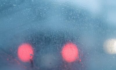 Clima de Mudan a Americana Renova Suas Ra zes Enquanto a Sa de e Educa o Ganham Destaque no Radar Pol tico e Social
