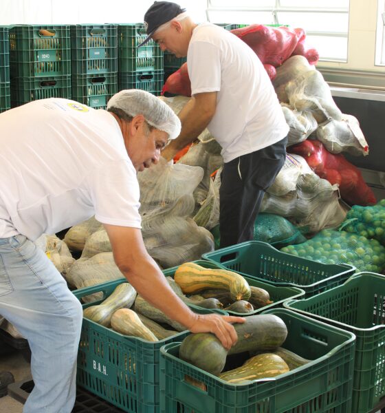Como Hortolândia Está Revolucionando a Segurança Alimentar no Brasil: A História de um Município que Saiu do Mapa da Fome Local 9 Como Hortol ndia Est Revolucionando a Seguran a Alimentar no Brasil A Hist ria de um Munic pio que Saiu do Mapa da Fome Local