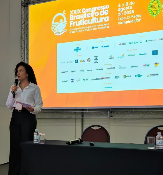 Como a Pequena Fruta que Mudou o Mundo Está Colocando uma Universidade Brasileira no Mapa Global da Ciência 9 Como a Pequena Fruta que Mudou o Mundo Est Colocando uma Universidade Brasileira no Mapa Global da Ci ncia