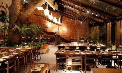 Como a RMC Transformou o Mercado de Bares e Restaurantes em 2025 Um Saldo Positivo de Empregos e Desafios Inesperados