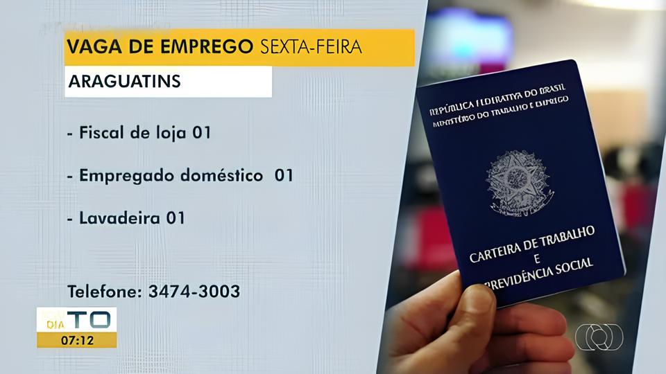 Como o Portal Trampolim Est Transformando a Jornada de Emprego no Brasil Um Raio X Completo