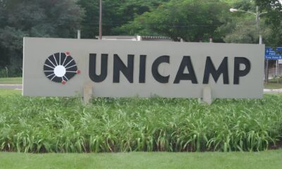 Concurso da Unicamp 21 Vagas Sal rios de At R 10 Mil e a Chance de Construir uma Carreira Transformadora