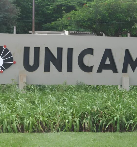 Concurso da Unicamp: 21 Vagas, Salários de Até R$ 10 Mil e a Chance de Construir uma Carreira Transformadora 9 Concurso da Unicamp 21 Vagas Sal rios de At R 10 Mil e a Chance de Construir uma Carreira Transformadora
