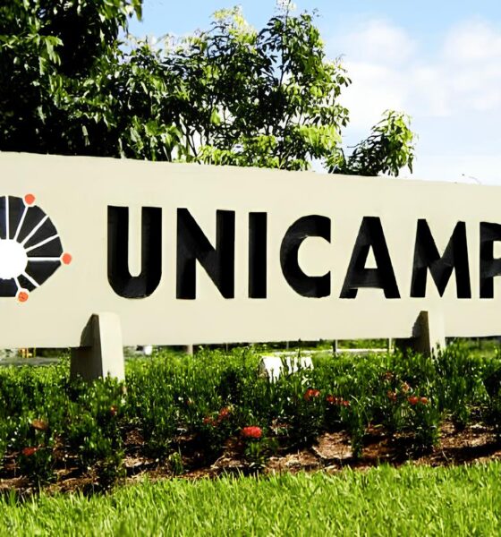 Concursos da Unicamp Como Transformar Sua Carreira com Sal rios de At R 11 Mil